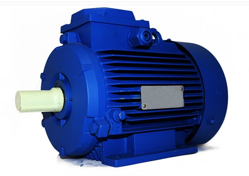 [221-600-004] Electric motors (from 500 to 1500 kg)
