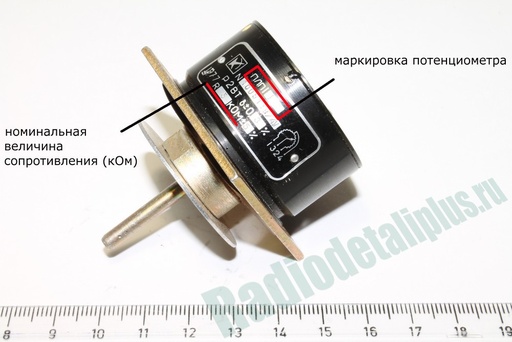 PLP-1